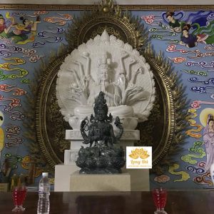 THIÊN THỦ THIÊN NHÃN (SP003)